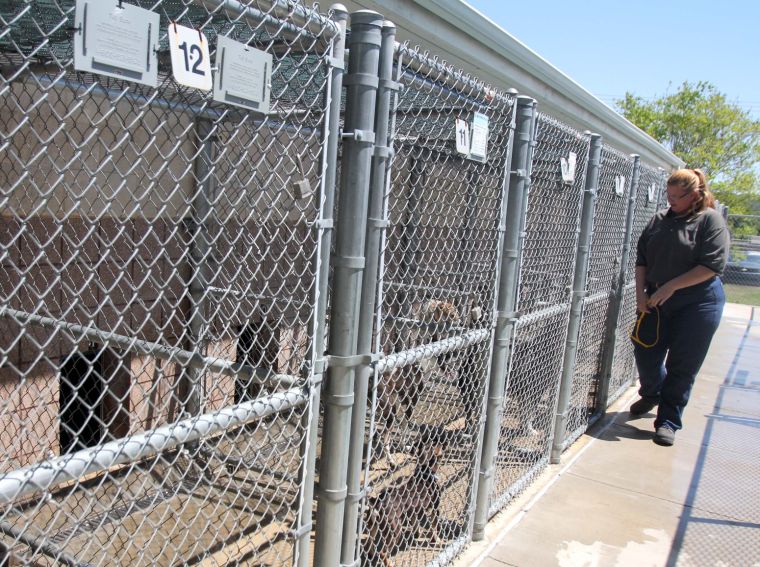 Copperas Cove Animal Control